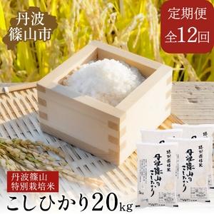 ふるさと納税 【12回定期便】特A 特別栽培米 コシヒカリ 精米 20kg 定期便 兵庫県丹波篠山市
