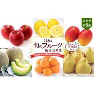 ふるさと納税 【年6回定期便】くまもと 旬のフルーツ極み 定期便 (2) 熊本県