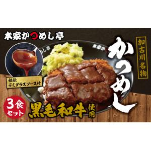 ふるさと納税 本家かつめし亭のかつめし(3食入り...の商品画像