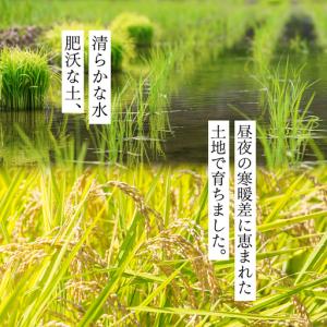 ふるさと納税 《 令和8年産 》 全3回 定期...の詳細画像2