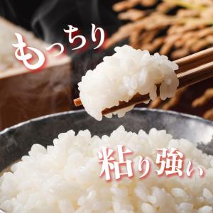 ふるさと納税 《 令和8年産 》 全3回 定期...の詳細画像3