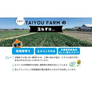 ふるさと納税 淡路島産 早採り新玉ねぎ 3kg...の詳細画像2