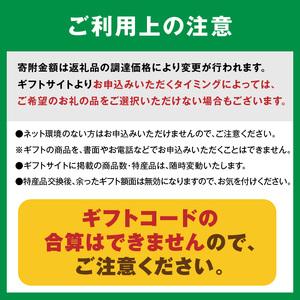 ふるさと納税 あとからセレクト【ふるさとギフト...の詳細画像1