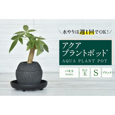 ふるさと納税 アクアプラントポットR　玉Ｓ（ブラック） 植木鉢　パキラ（2085） 愛知県知立市