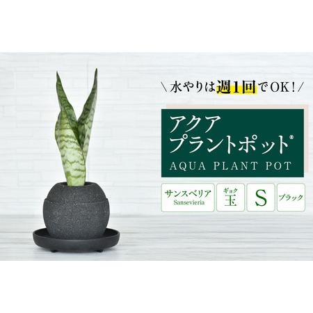 ふるさと納税 アクアプラントポットR　玉Ｓ（ブラック） 植木鉢　サンスベリア（2086） 愛知県知立...