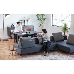 ふるさと納税 【本体取替カバー(同色)セット】...の詳細画像3