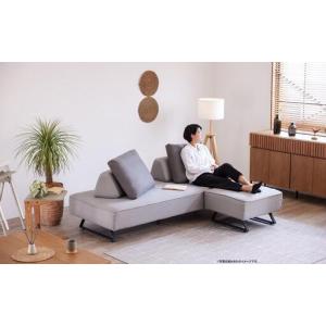 ふるさと納税 【本体取替カバー(同色)セット】...の詳細画像3