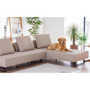 ふるさと納税 【本体取替カバー(同色)セット】...の詳細画像1