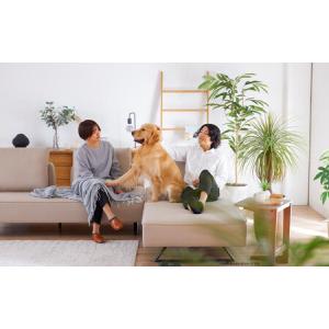 ふるさと納税 【本体取替カバー(同色)セット】...の詳細画像2