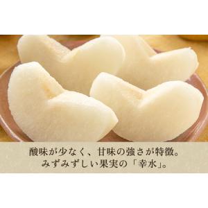 ふるさと納税 【2026年先行予約】しらい農園...の詳細画像1