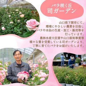 ふるさと納税 バラ 花束 100本 ミックス ...の詳細画像1