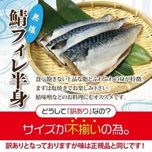 ふるさと納税 【訳あり】 さば サバ 北三陸産...の詳細画像1