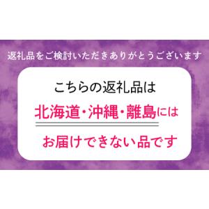 ふるさと納税 石の車止め Bタイプ 233-0...の詳細画像4