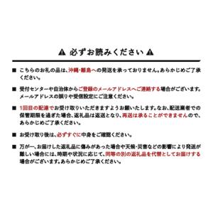 ふるさと納税 《先行予約》 山形県産 りんご ...の詳細画像1