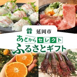 ふるさと納税 あとからセレクト80万円 N0159-YN002 宮崎県延岡市