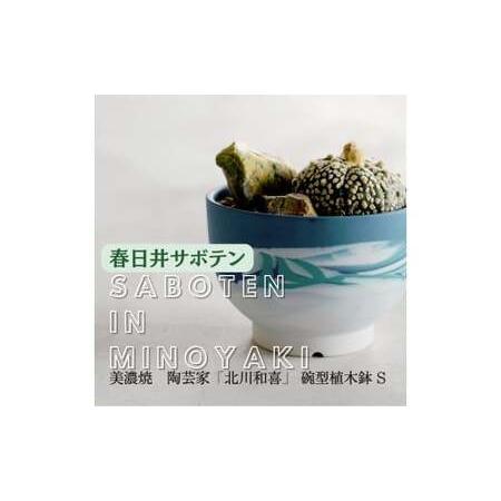 ふるさと納税 多治見市×春日井市コラボ 【美濃焼】 陶芸家「北川和喜」 碗型植木鉢 S× 【日本有数...