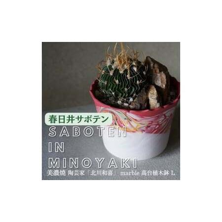 ふるさと納税 多治見市×春日井市コラボ 【美濃焼】 陶芸家「北川和喜」 marble 高台植木鉢 L...