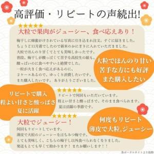 ふるさと納税 梅干し 1.2kg 塩分7% 【...の詳細画像2