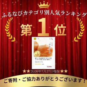 ふるさと納税 梅干し 1.2kg 塩分7% 【...の詳細画像4