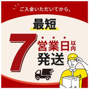 ふるさと納税 アクエリアスビタミン 500ml...の詳細画像1