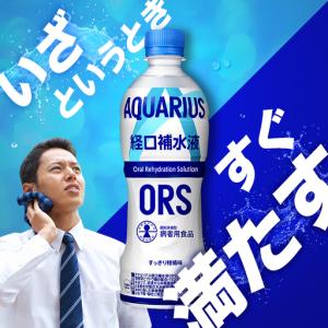 ふるさと納税 アクエリアス ORS 500ml...の詳細画像2