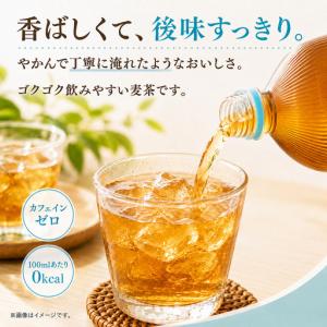 ふるさと納税 爽健美茶 やかん 2L 定期便 ...の詳細画像2