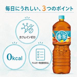 ふるさと納税 爽健美茶 やかん 2L 定期便 ...の詳細画像3