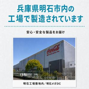 ふるさと納税 爽健美茶 やかん 2L 定期便 ...の詳細画像4