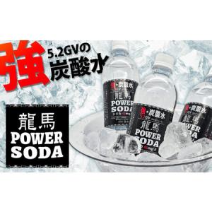 ふるさと納税 【全2回定期便】龍馬POWER ...の詳細画像1