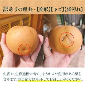 ふるさと納税 【ふるさと納税】<2026年9月...の詳細画像2