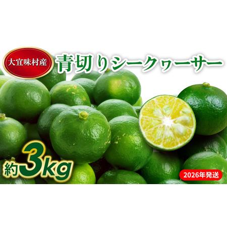 ふるさと納税 【2026年発送】大宜味村 青切りシークワーサー 約3kg 沖縄 おきなわ 大宜味村 ...