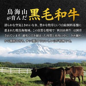 ふるさと納税 《定期便》11ヶ月連続 秋田由利...の詳細画像2