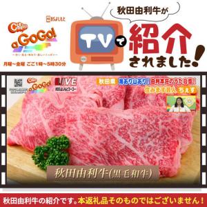 ふるさと納税 《定期便》11ヶ月連続 秋田由利...の詳細画像3