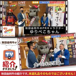 ふるさと納税 《定期便》11ヶ月連続 秋田由利...の詳細画像4