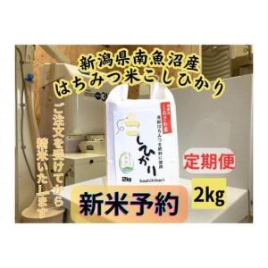ふるさと納税 【令和8年産・新米予約・定期便】新...の商品画像