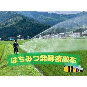 ふるさと納税 【令和8年産・新米予約・定期便】...の詳細画像3