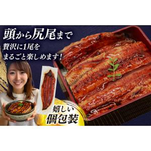 ふるさと納税 うなぎ 蒲焼 特大 訳あり 3尾...の詳細画像3