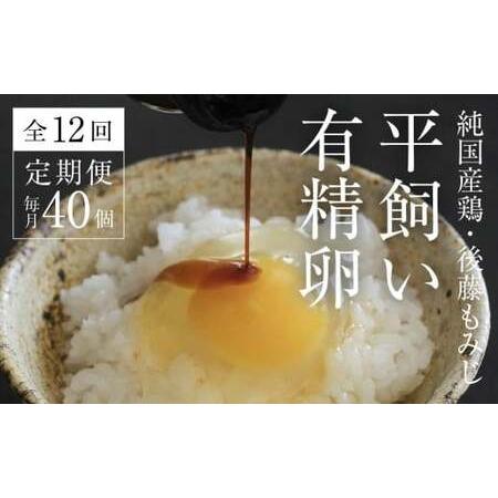 ふるさと納税 【ふるさと納税】＜2026年5月中旬〜発送＞平飼い有精卵40個【全12回定期便】｜自然...