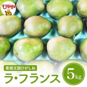 ふるさと納税 【2026年産 先行予約】西洋梨「ラ・フランス」5kg 滝口観光果樹園提供 山形県 東...