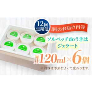 ふるさと納税 【12回定期便】果樹園が作る 素...の詳細画像4