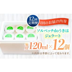 ふるさと納税 【12回定期便】果樹園が作る 素...の詳細画像4