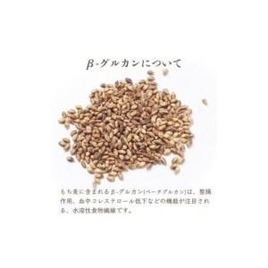ふるさと納税 もちむぎカステラ2本セット カス...の詳細画像3