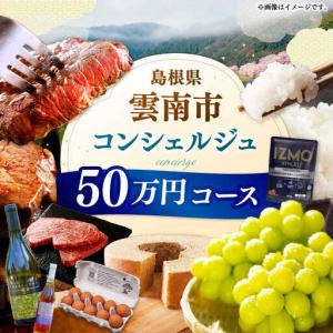 ふるさと納税 コンシェルジュ 【雲南市コンシェルジュ】返礼品おまかせ！寄附額50万円コース 500000円 [AIDM005] 島根県雲南市