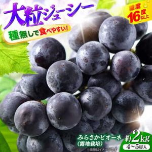 ふるさと納税 ぶどう【2026年発送】みらさかピ...の商品画像