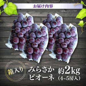 ふるさと納税 ぶどう【2026年発送】みらさか...の詳細画像1