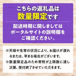 ふるさと納税 ぶどう【2026年発送】みらさか...の詳細画像2