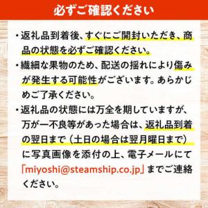 ふるさと納税 ぶどう【2026年発送】みらさか...の詳細画像3