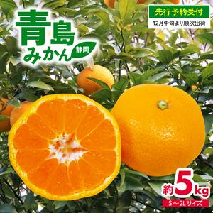 ふるさと納税 【 先行予約 】 静岡県産 青島みかんS〜2L 約5kg 2024年12月中旬より順次...