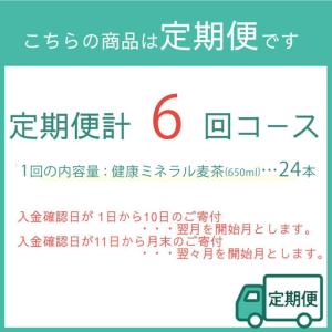 ふるさと納税 定期便 毎月 全6回 健康ミネラ...の詳細画像4