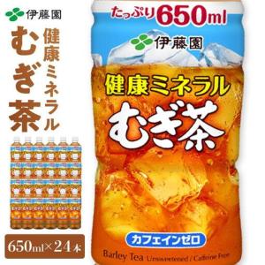 ふるさと納税 定期便 毎月 全12回 健康ミネラル麦茶 650ml×24本 １ケース 12ヶ月定期便 和歌山県海南市